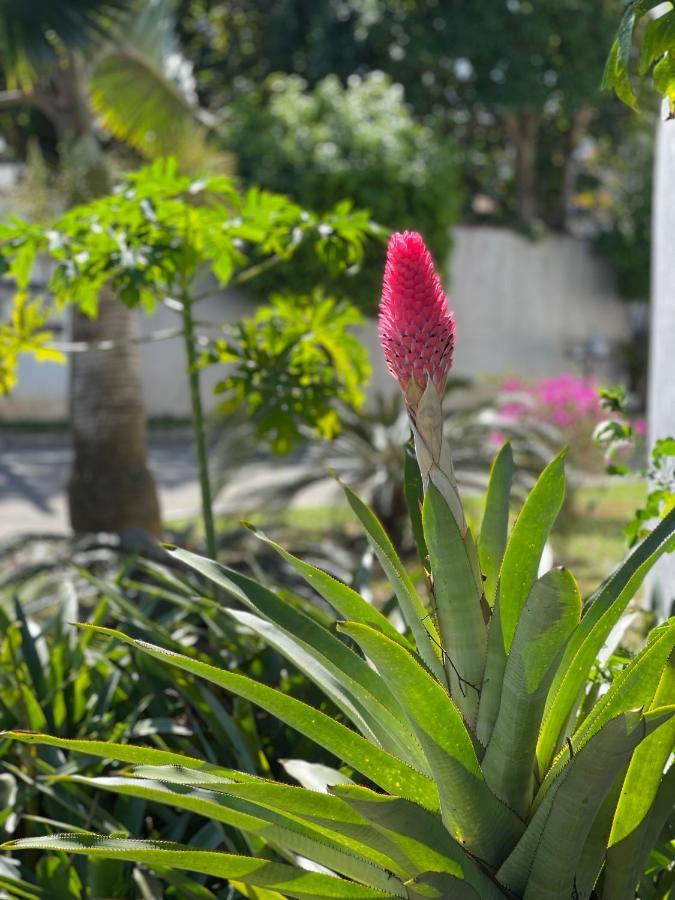 Buzios House 빌라 외부 사진